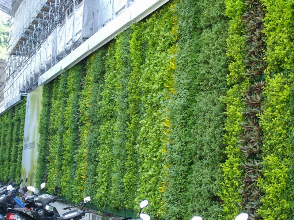Trồng tường cây xanh đứng trong nhà  Thiết kế vườn trên sân thượng